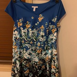 Isaac Mizrahi LIVE dress